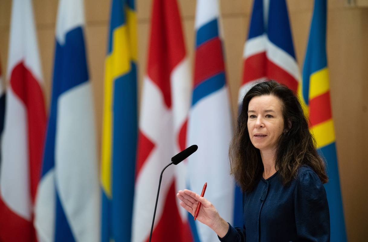 Gymnasieelever mötte parlamentariker på Nordens dag